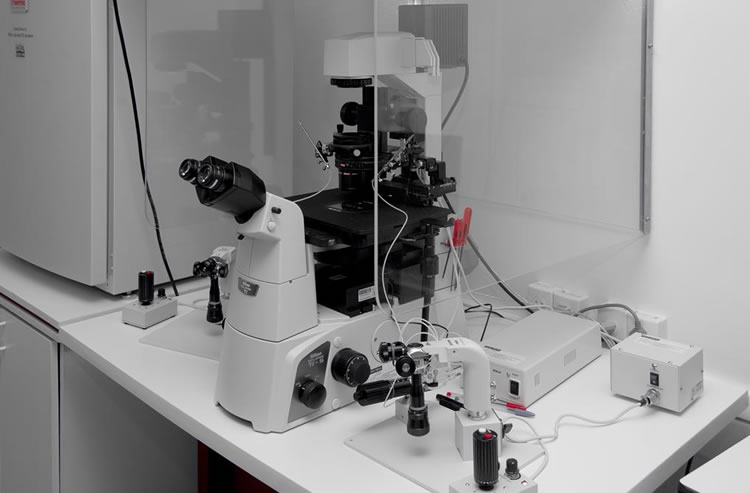 Microscópio