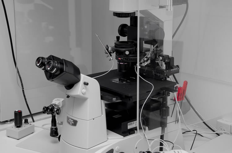 Microscópio 2